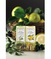 Crema de manos al limón, 75 ml - L'Erbolario